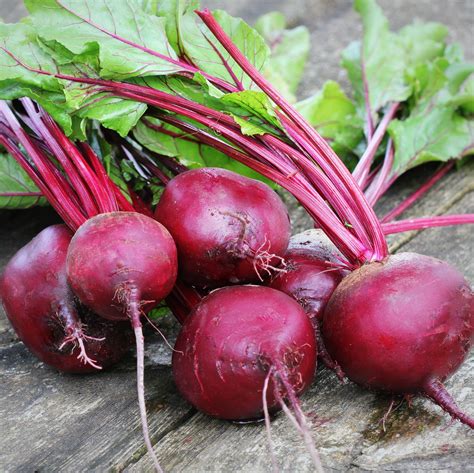 Organic Detroit Dark Red Beet Seeds – Sweet Yards