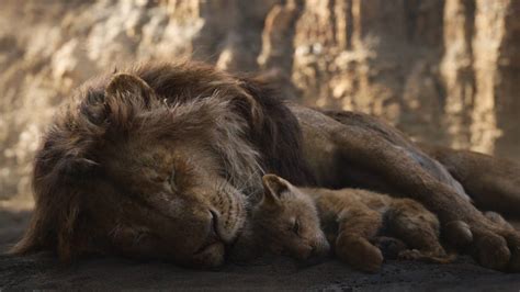 TheLionKing2019-Cub Simba Dead Mufasa by GiuseppeDiRosso on DeviantArt