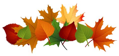 fall leaves transparent background - Clip Art Library