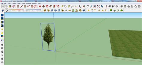 Sketchup Components of Trees Tutorial with Free Download