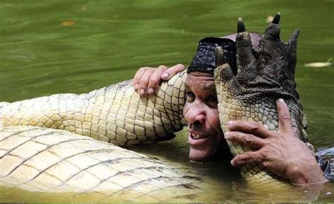 Pet Crocodile (5 pics)