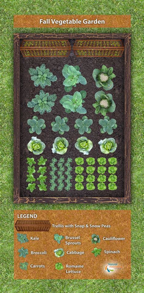 Tioir zanov: 46+ Fall Vegetable Garden Zone 7 Gif