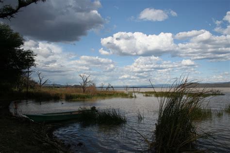 Lake Baringo – Kenya Birding