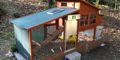 11 Backyard Chicken Coop Ideas for Aspiring Homesteaders