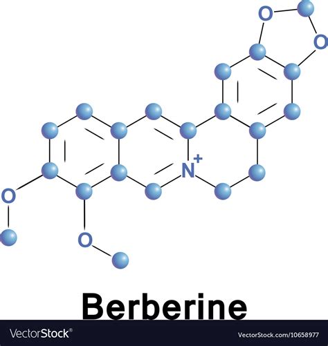 Berberine molecule structure Royalty Free Vector Image