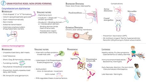 Immunology / Microbiology: Diptheria & Listeriosis | ditki medical ...