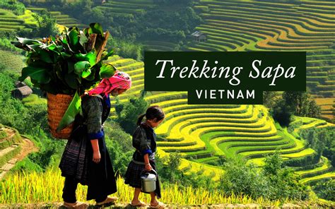 Guide to Trekking Sapa, Vietnam: Tips & Advice | Just Globetrotting