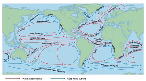 Ocean Currents Diagram