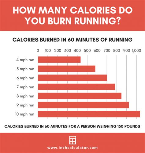 How Do Treadmills Calculate Calories Burned? - PostureInfoHub