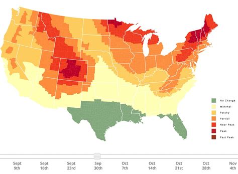 Interactive Foliage Map Allows Users To Find Primetime Fall Colors