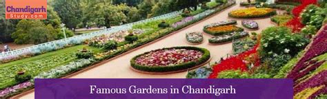 Famous Gardens Of Chandigarh - The Garden City