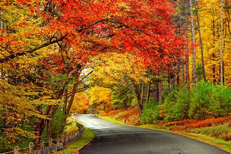 The ultimate New England fall foliage road trip - Lonely Planet