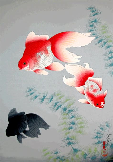 Japanese Animals Fishes Art Prints, Posters, Goldfishes Ohno Bakufu ...