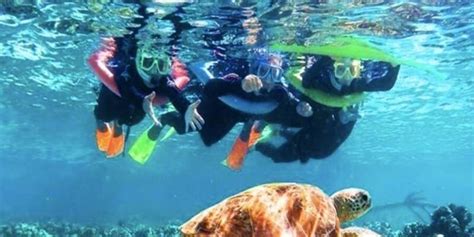 Roatan Honduras Snorkeling Adventure