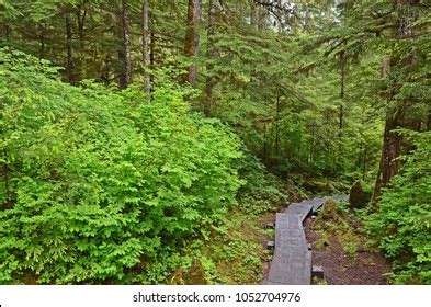 2,283 Wrangell Alaska Images, Stock Photos & Vectors | Shutterstock