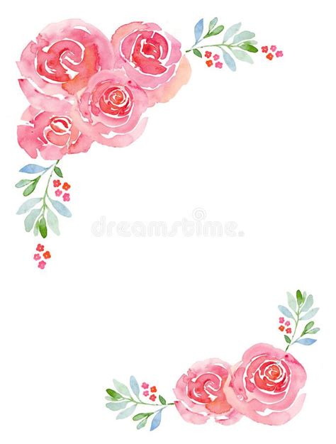 Pink roses watercolor floral background. Romantic pink roses watercolor ...