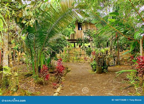 Indigenous, Tribal Village in the Amazon Stock Photo - Image of ...