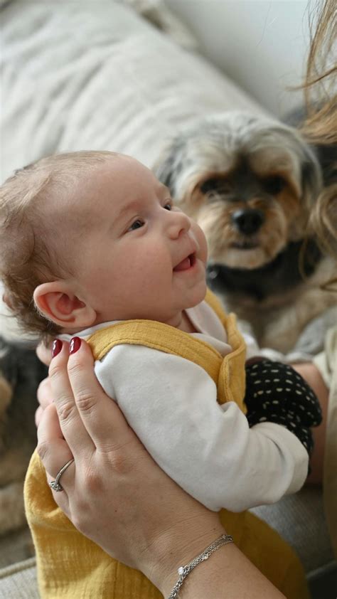 Los mejores 20.000+ vídeos de Perros Jugando · Banco de Imágenes Gratis ...