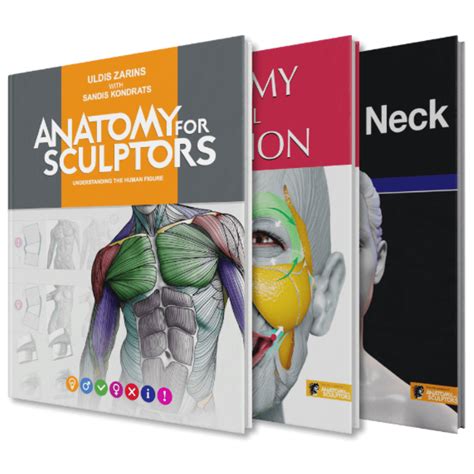 Anatomy For Sculptors | Anatomy Book Series For Artists