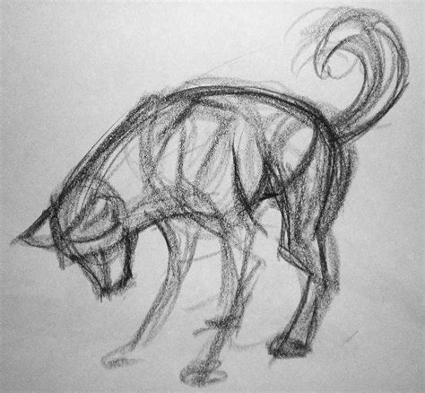 Gesture Drawings Of Animals - Creativeline