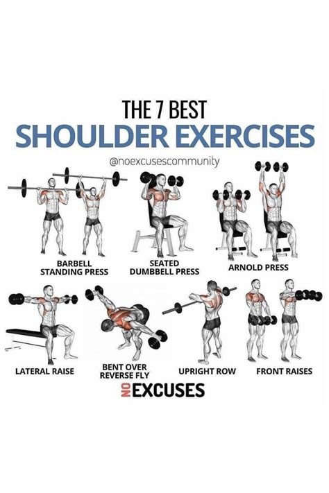 7 Best Exercises For Shoulders | Shoulder workout bodybuilding, Gym ...