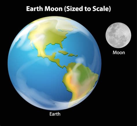 Earth moon to scale Vector | Free Download