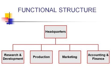 Functional Structure Company Example / 7 Types of Organizational ...