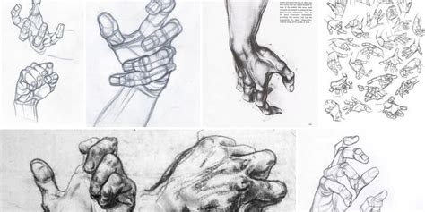 Character Design Collection: Hands Anatomy