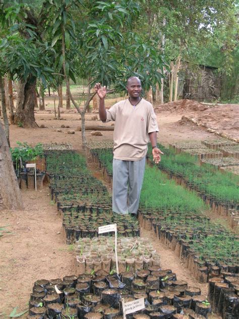 Planting trees, Kenya – Gifts with a Difference