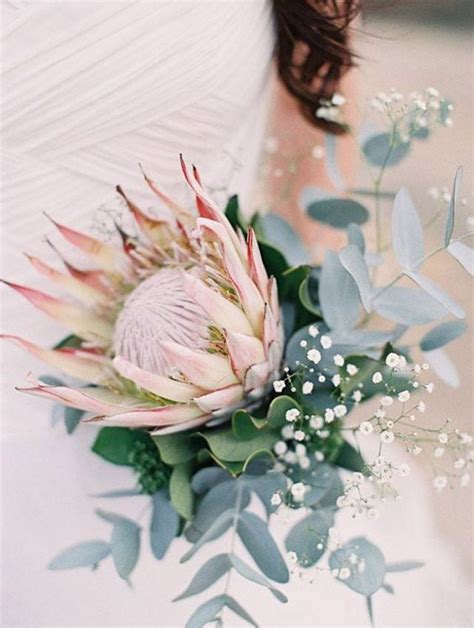 Five Unusual Flowers That Look Great In Bouquets - Weddingbells