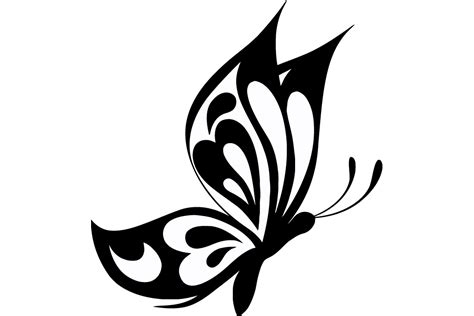 Get Butterfly Vector Art Png