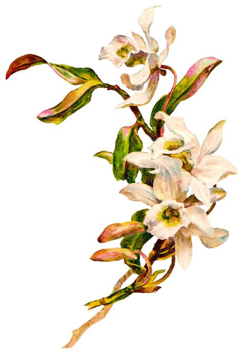 Easter Flower Clip Art - ClipArt Best