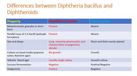 Diphtheria bacillus versus Diphtheroids: Introduction and differences in