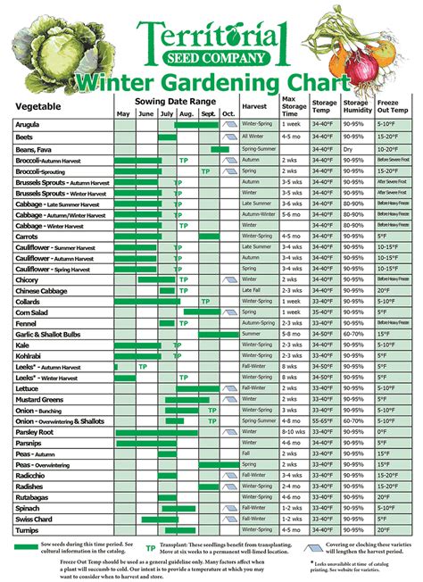 Printable Zone 8 Planting Guide