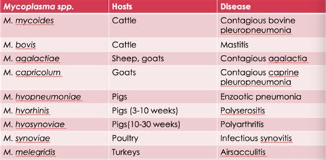 Pathogenic bacteria Flashcards | Quizlet