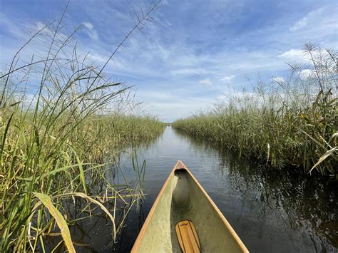 Trempealeau River Rat Chat and Mississippi River paddle - River ...