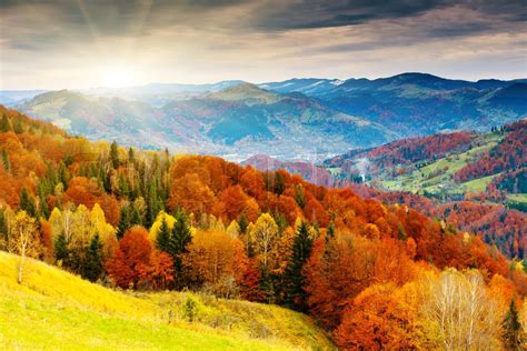 the mountain autumn landscape with colorful forest | Stock image ...