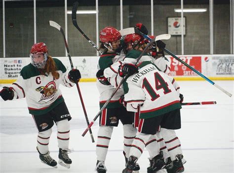 Minot State women’s hockey announces 2021-22 schedule | American ...