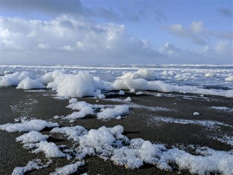 Sea Foam Free Stock Photo - Public Domain Pictures