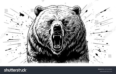 Angry Bear Drawing: Over 5,971 Royalty-Free Licensable Stock Vectors ...