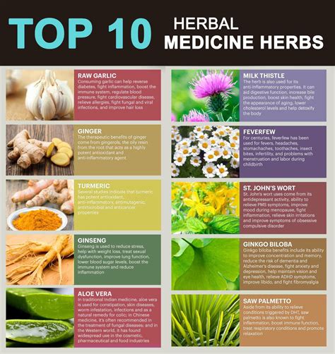 10 Herbal Medicine - Vedic Paths