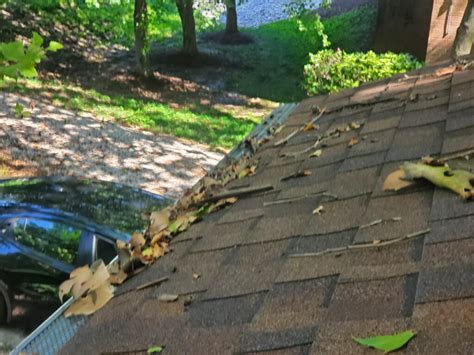 Limitations of Gutter Leaf Guards - Part I