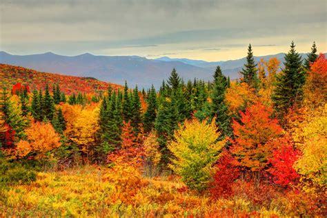 How to See New England Fall Foliage at Its Peak