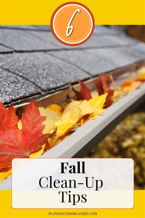 6 Practical Fall Clean-Up Tips for Homeowners