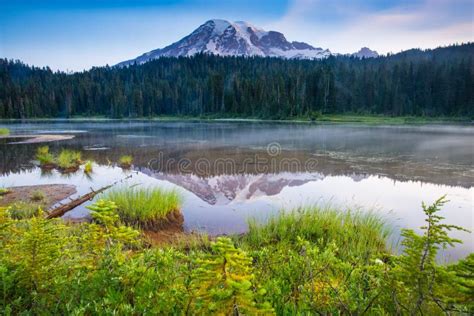 Mount Rainier Lake Reflection Stock Image - Image of lake, reflection ...