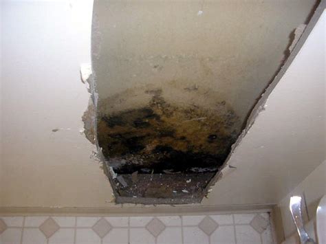 Mold in Walls is Extremely Common | Mold Awareness