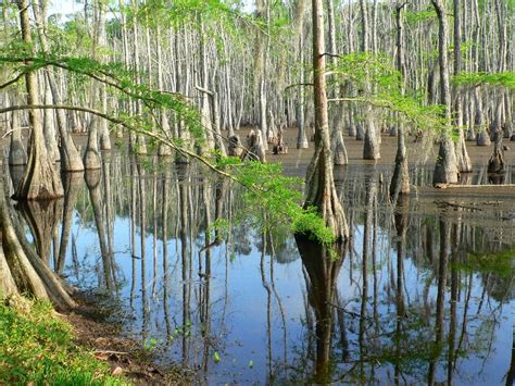 List of parks in Louisiana