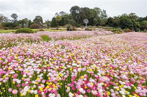 Visit | Botanic Gardens of Sydney