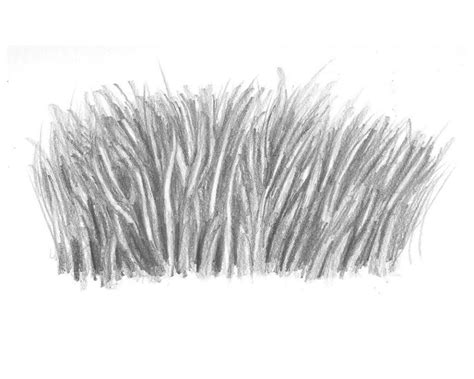 25 Easy Grass Drawing Ideas - How to Draw Grass - Blitsy