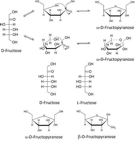 Structures of the isomers and anomers of fructose | Download Scientific ...